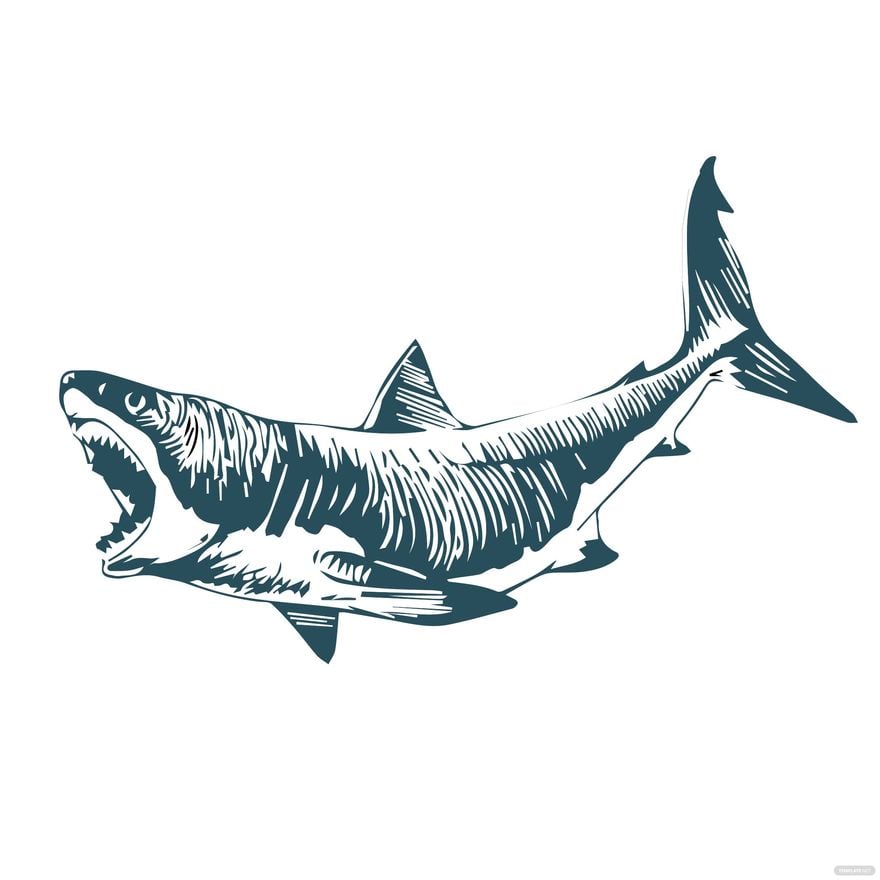 Vintage Shark Vector in Illustrator, EPS, SVG, JPG, PNG