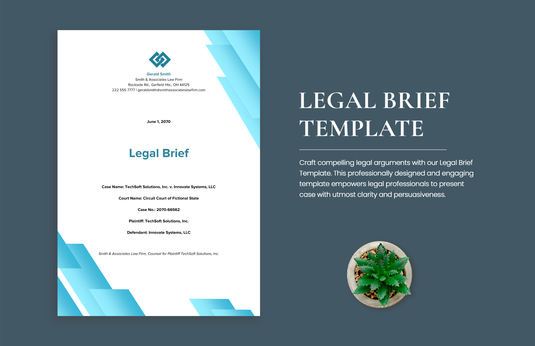 Legal Brief Template