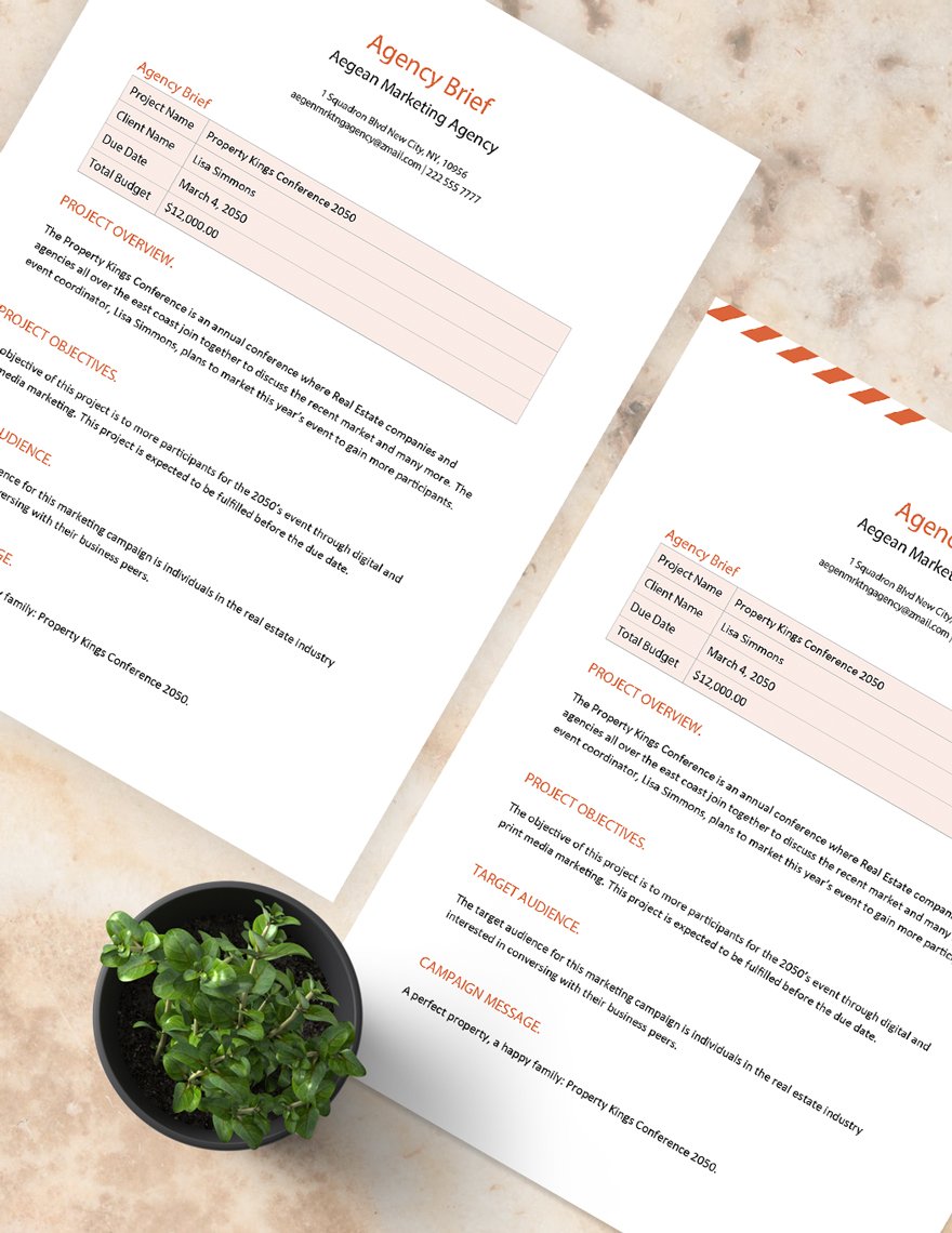 Agency Brief Template