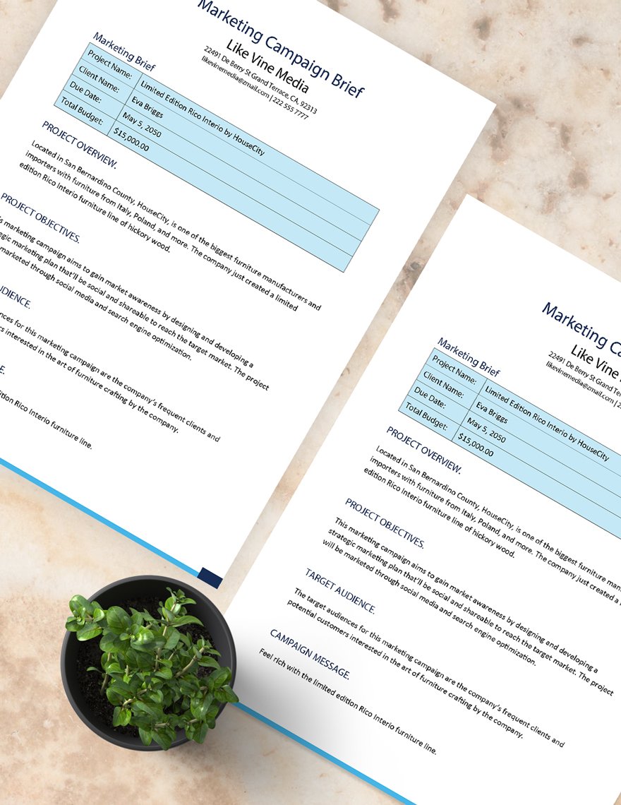 Marketing Campaign Brief Template Download in Word, Google Docs