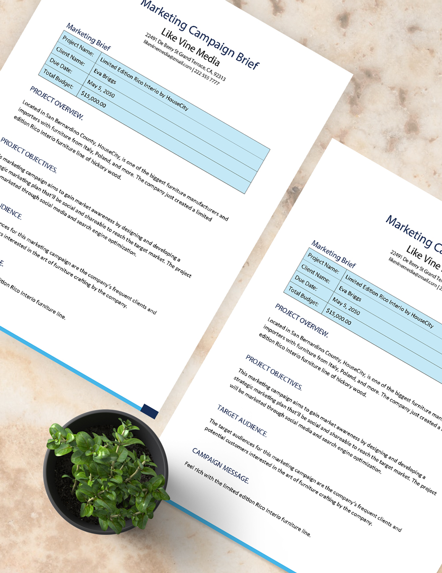 Marketing Campaign Brief Template