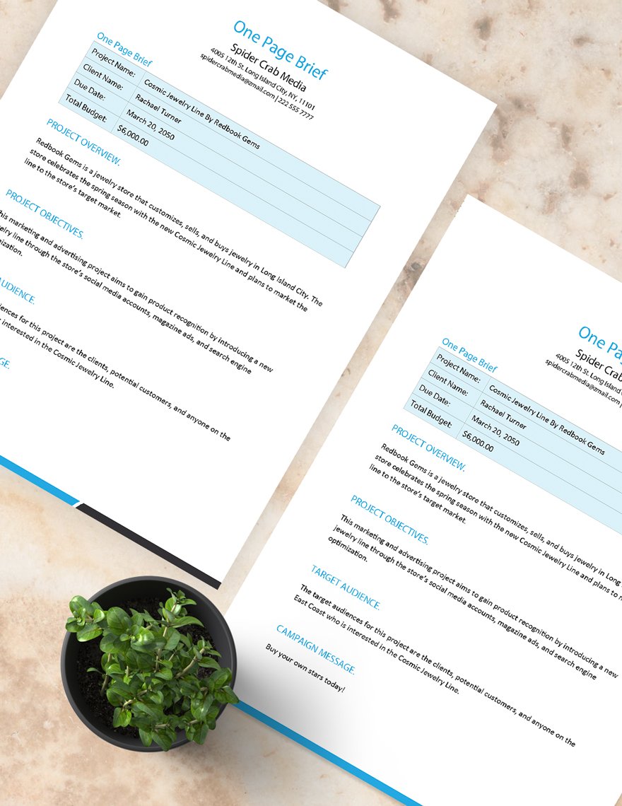 One Page Brief Template