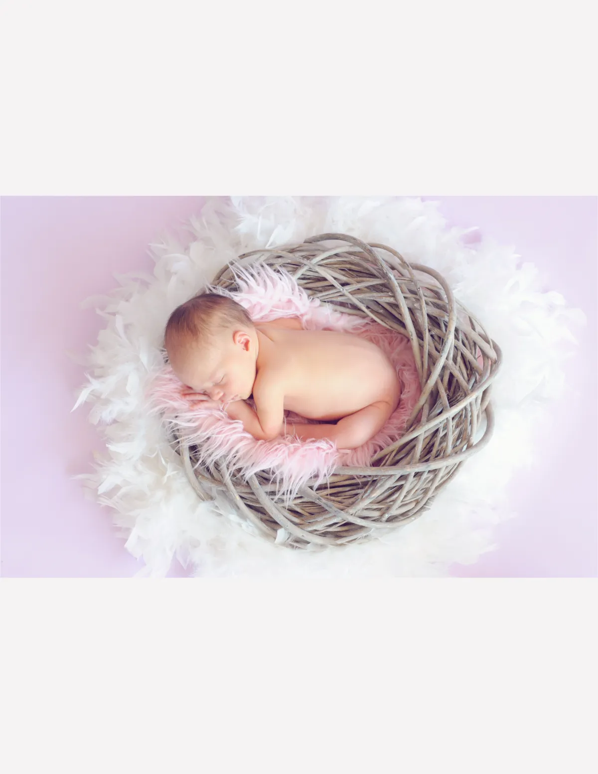 Free Baby Girl Photo Book Template to Edit Online
