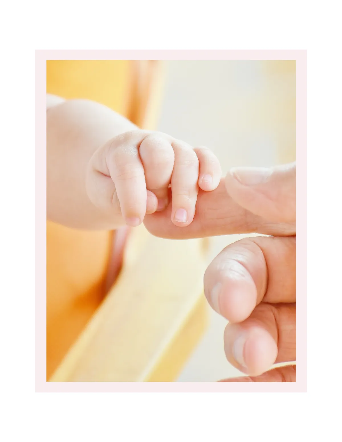 Free Baby Girl Photo Book Template to Edit Online