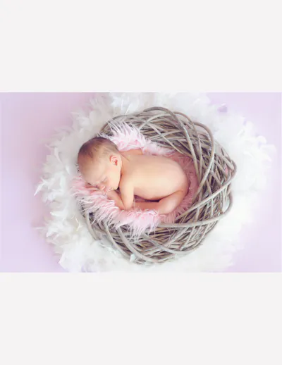 Free Baby Girl Photo Book Template to Edit Online