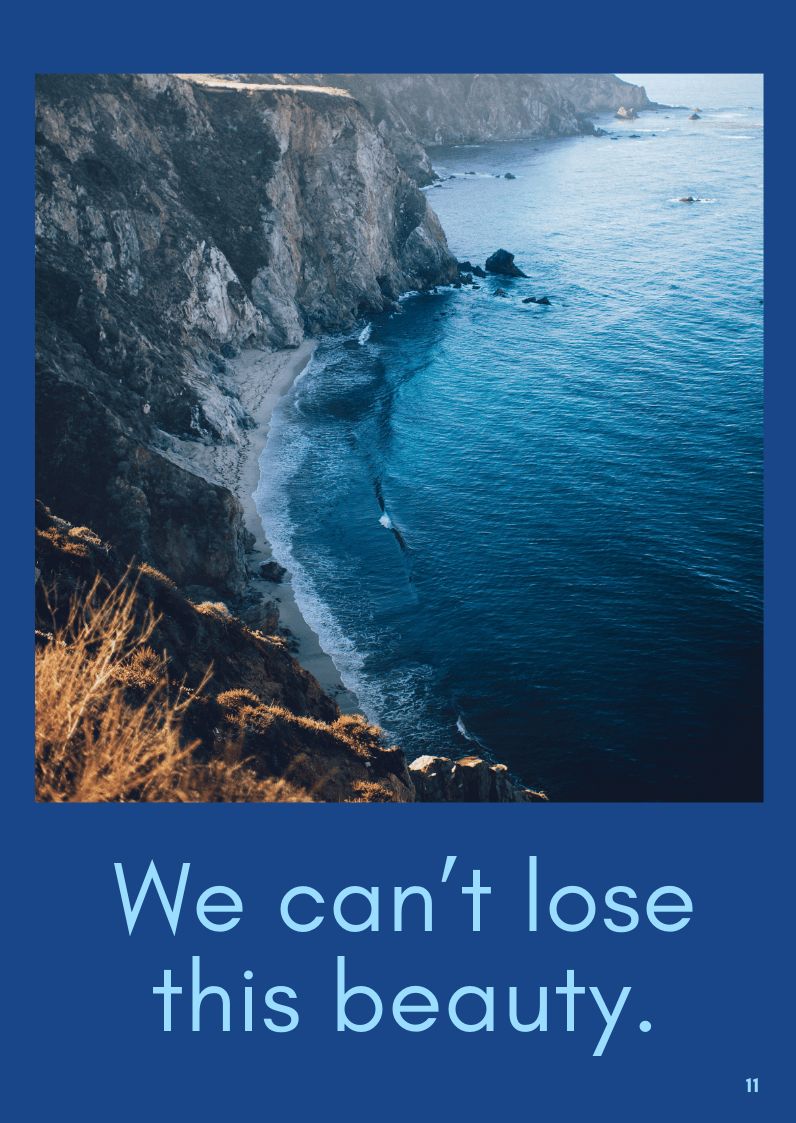 Free Nonprofit Booklet Template to Edit Online