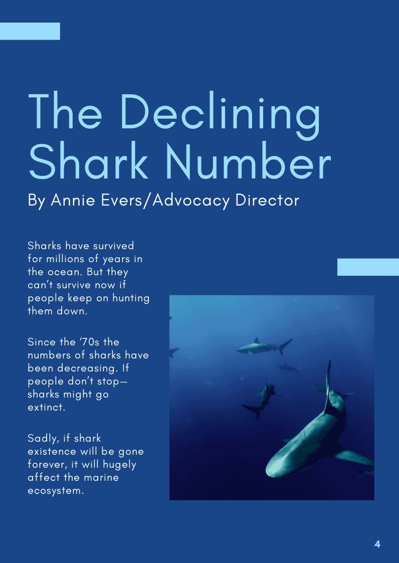 Free Nonprofit Booklet Template to Edit Online