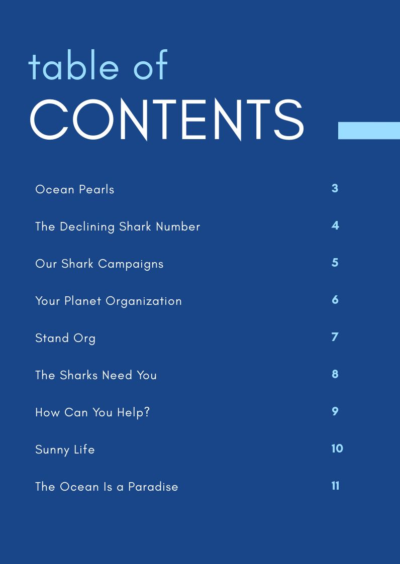 Free Nonprofit Booklet Template to Edit Online