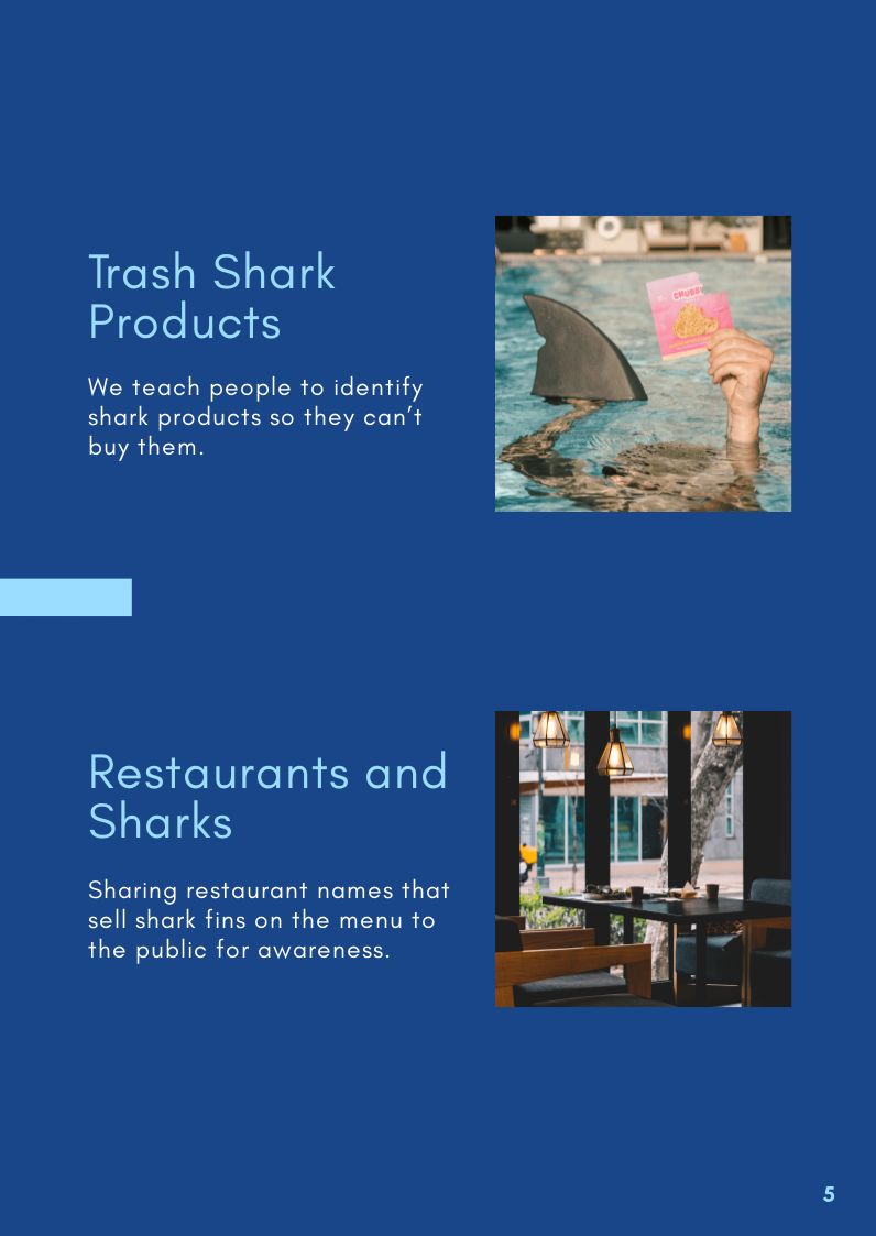 Free Nonprofit Booklet Template to Edit Online