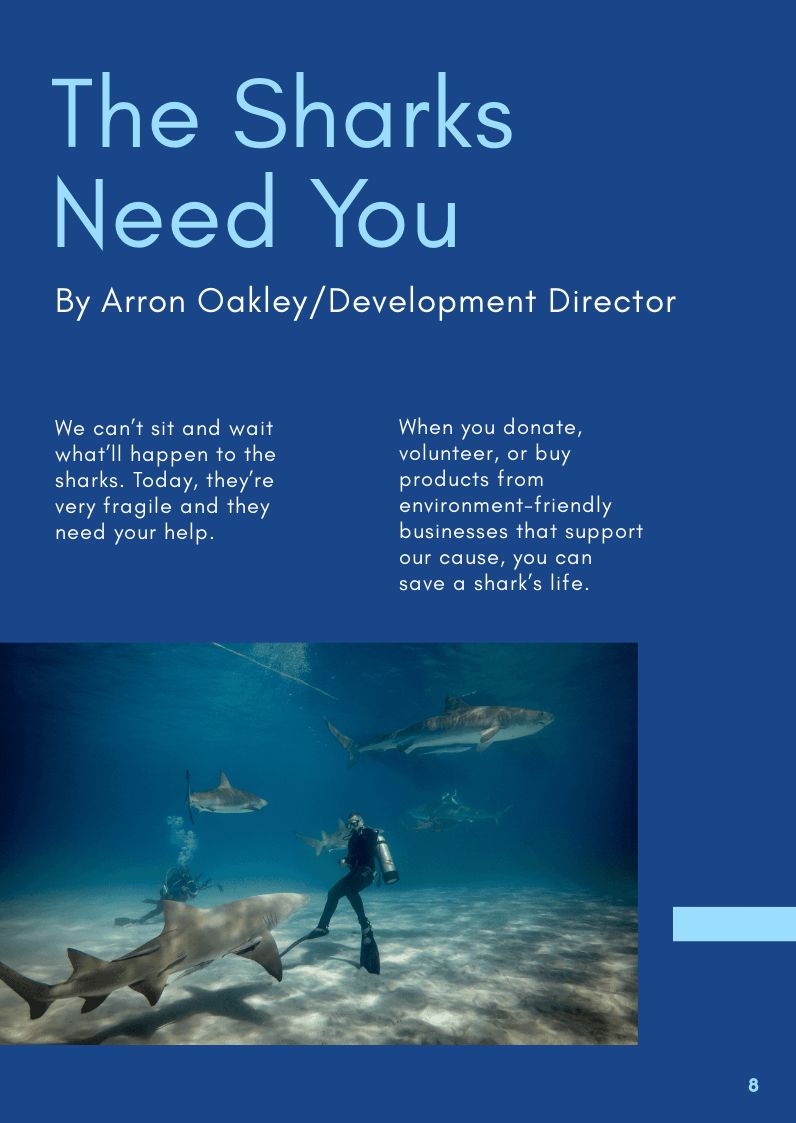 Free Nonprofit Booklet Template to Edit Online