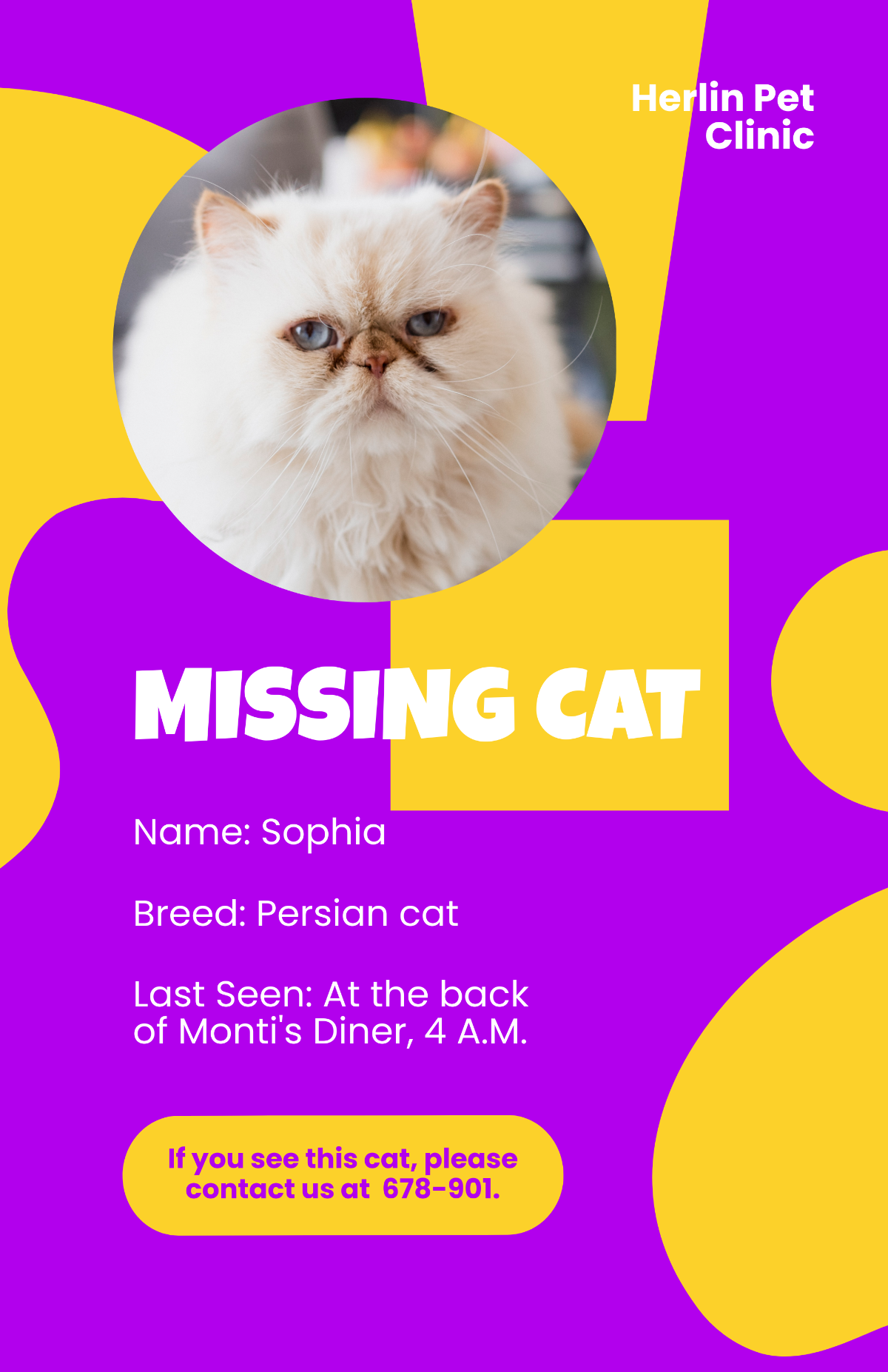 Missing Cat Poster Template - Edit Online & Download