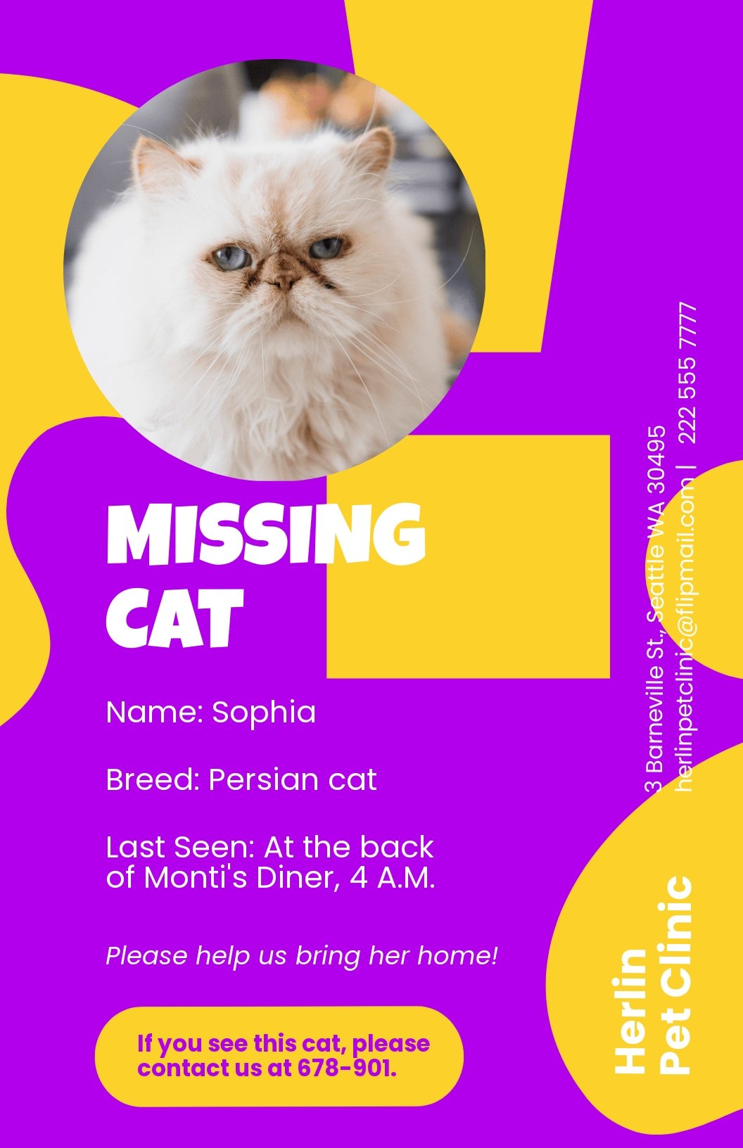 Missing Cat Poster Template