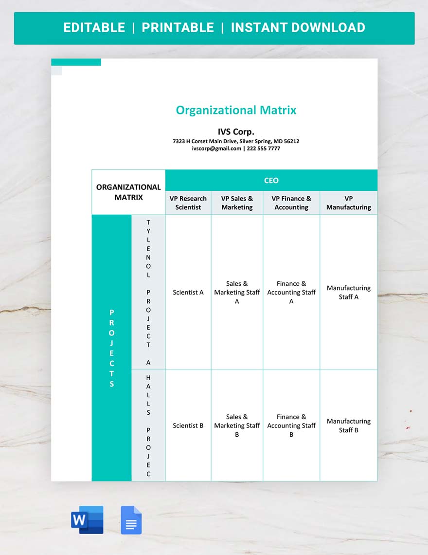 Organizational Matrix Template Google Docs Word Template