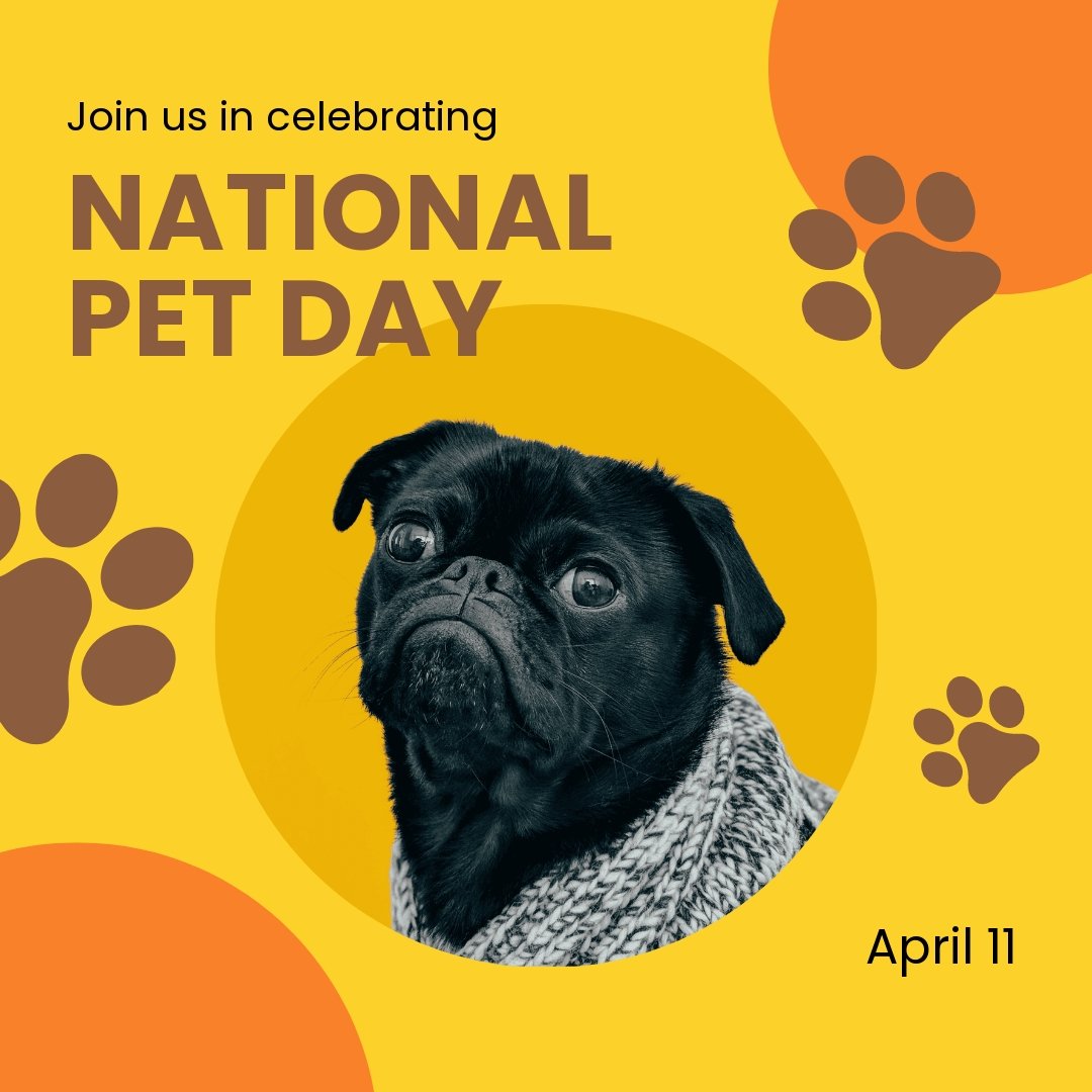 National Pet Day Promotional Instagram Post Template