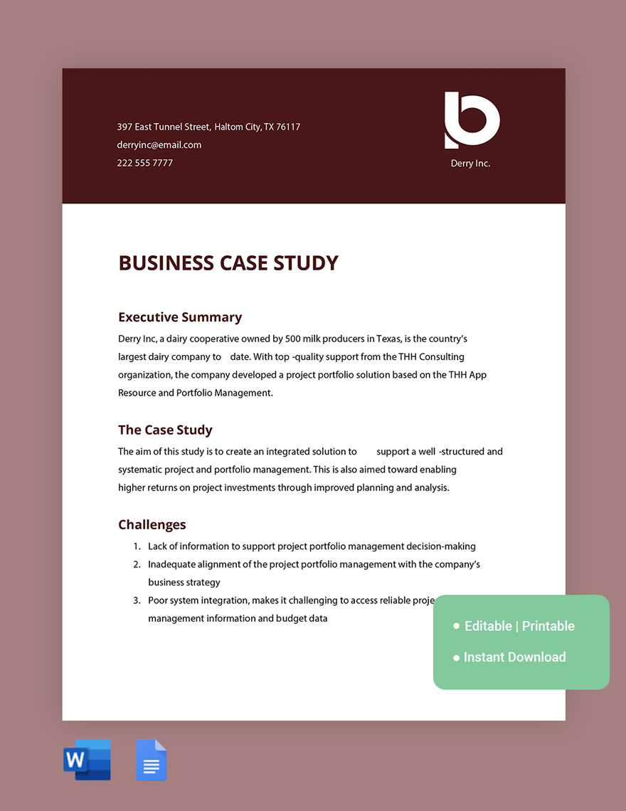 Business Case Study Template Download In Word Google Docs Template