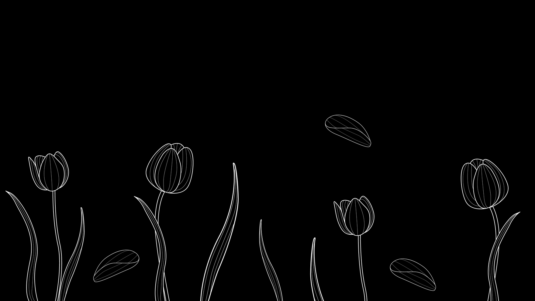 Black Flower Background