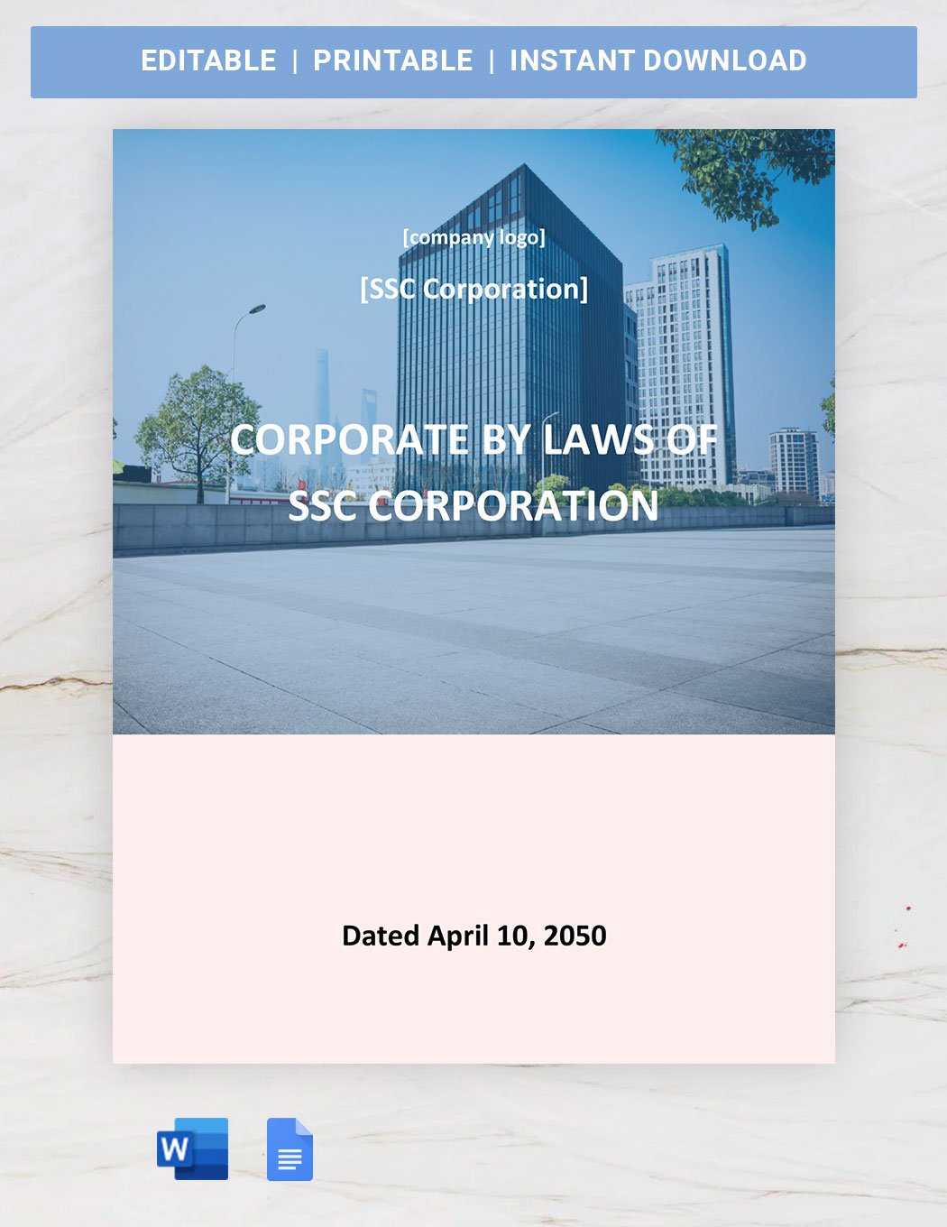 South Carolina Corporate Bylaws Template in Word, Google Docs
