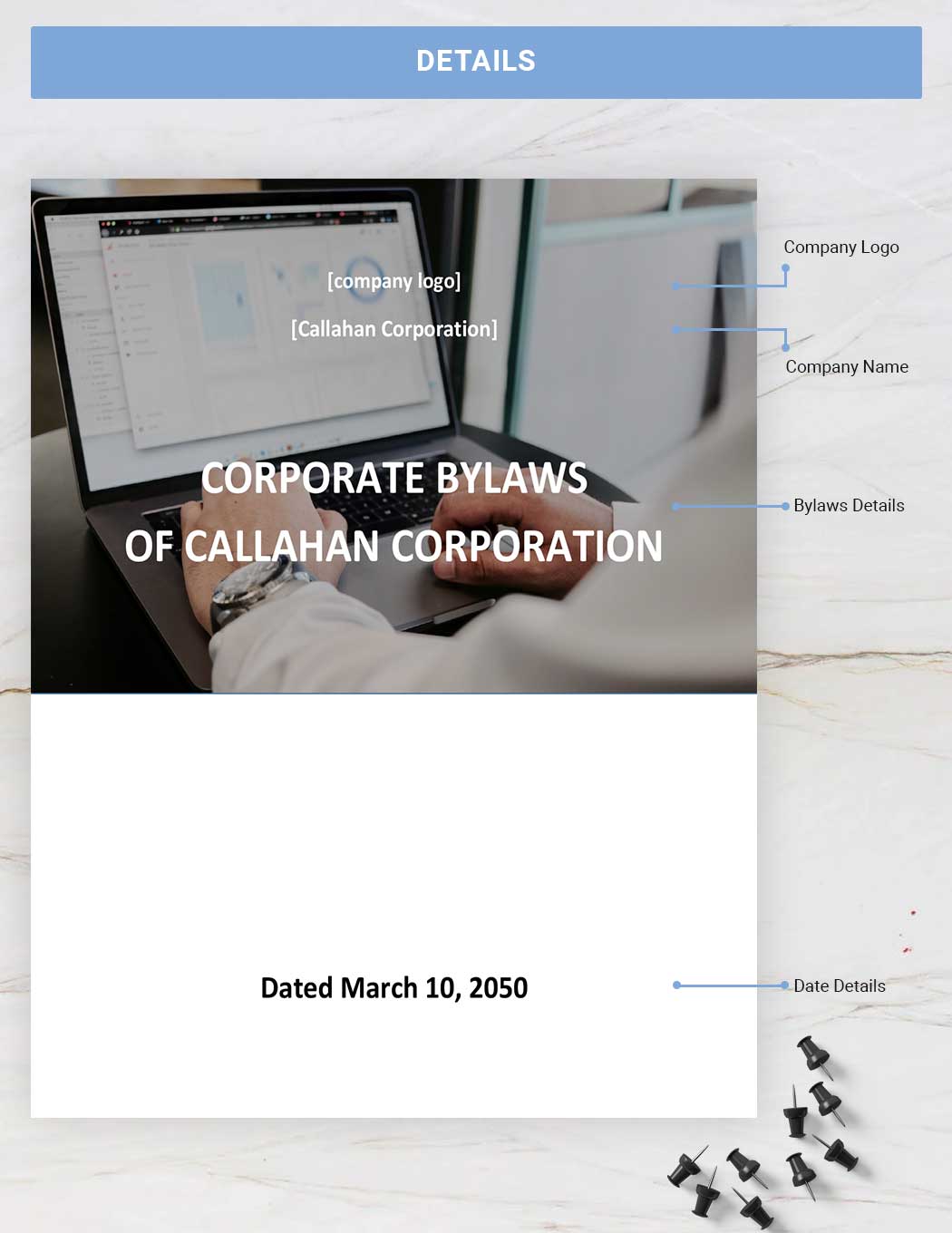 Single Owner Corporate Bylaws Template