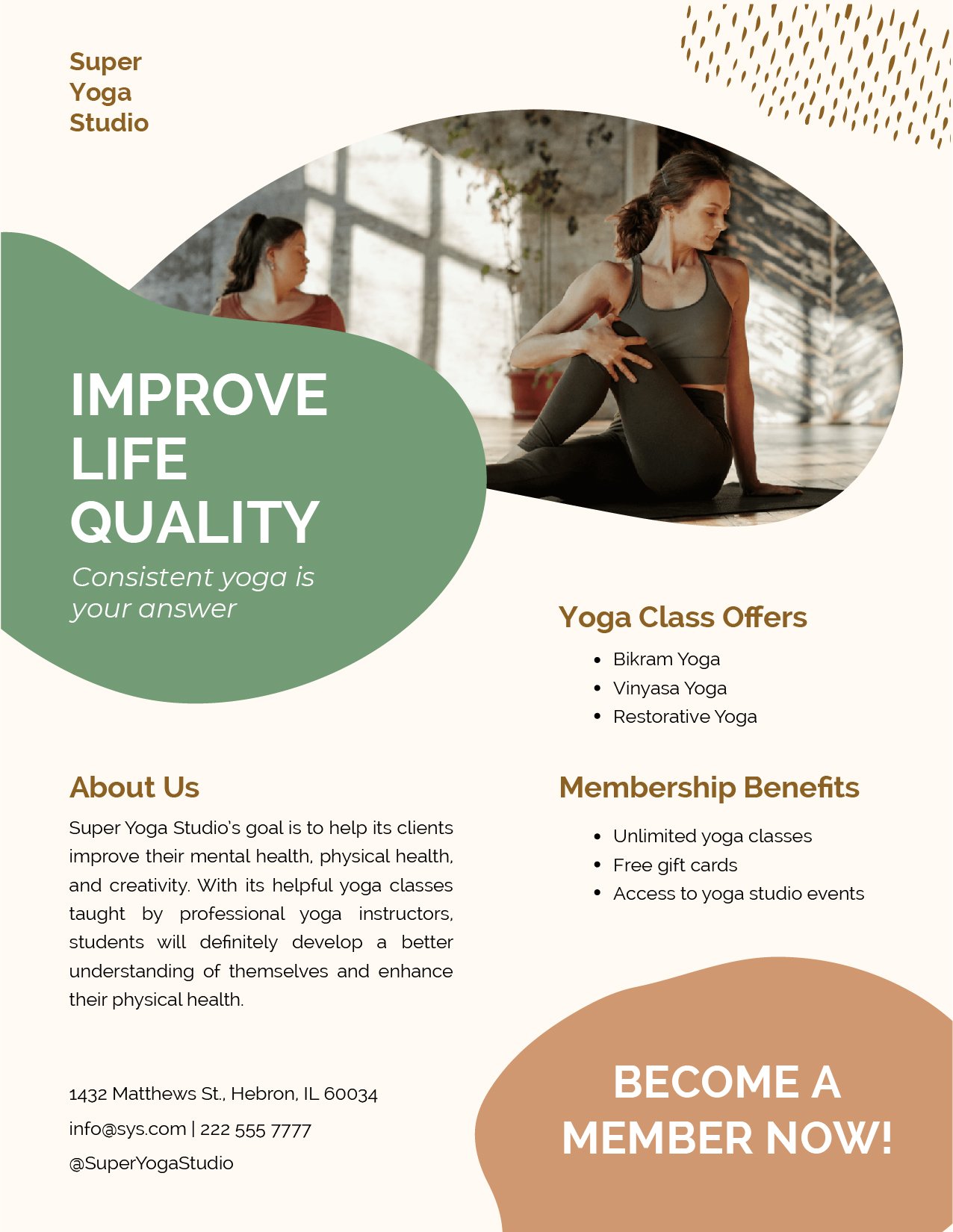 Health And Wellness Business Sell Sheet Template