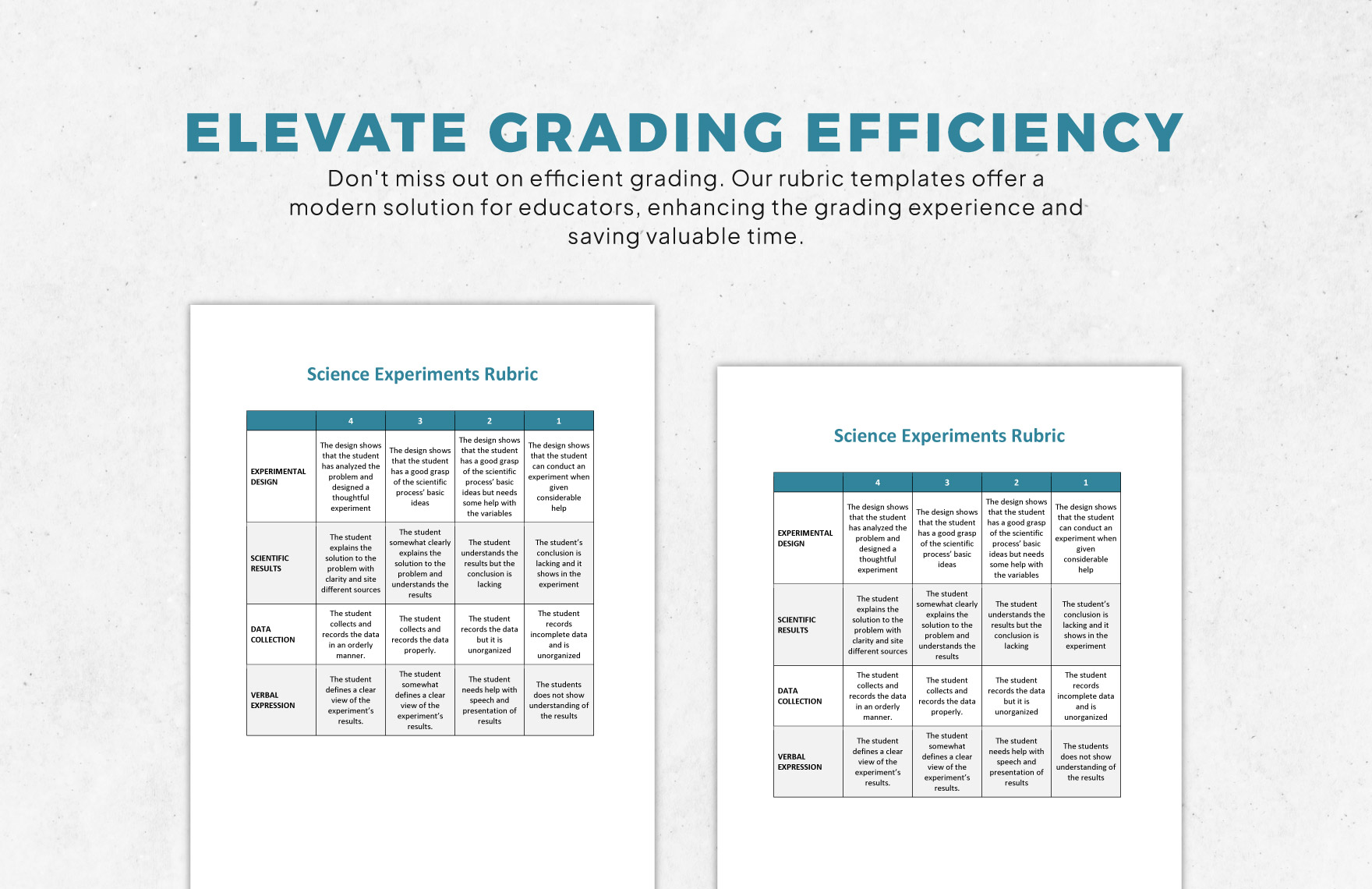 Science Experiment Rubric Template