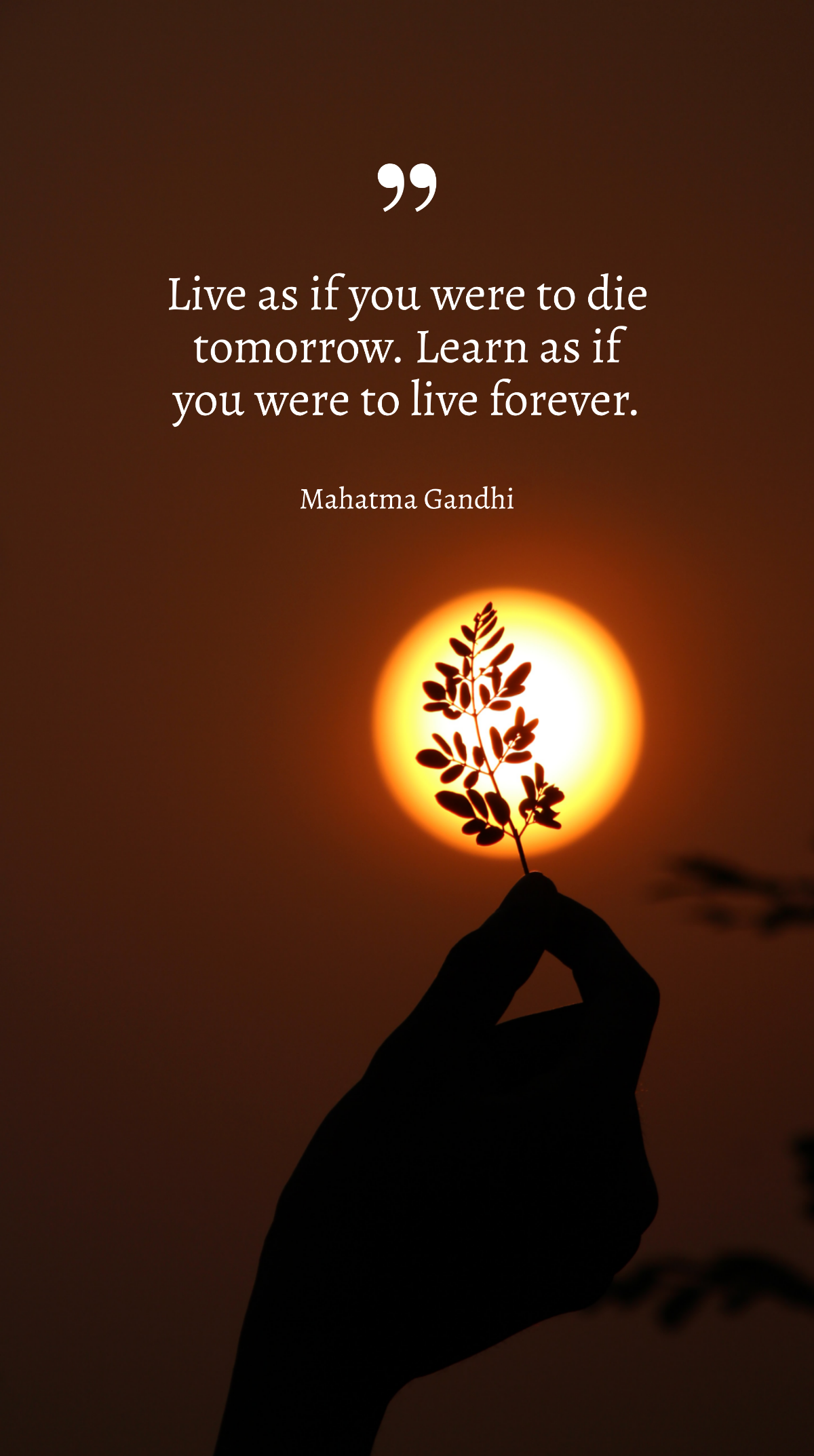 Mahatma Gandhi - Live as if you were to die tomorrow. Learn as if you were to live forever Template