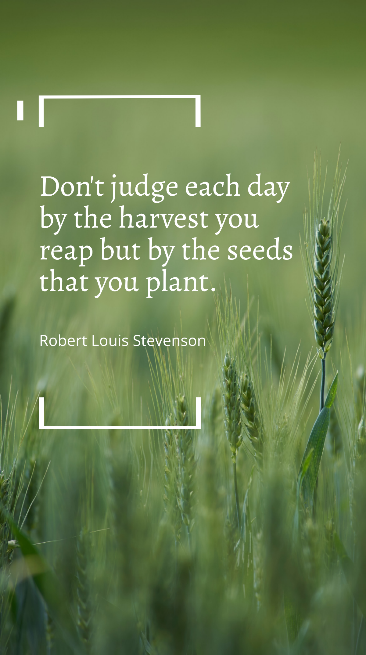 Robert Louis Stevenson - Don't judge each day by the harvest you reap but by the seeds that you plant Template