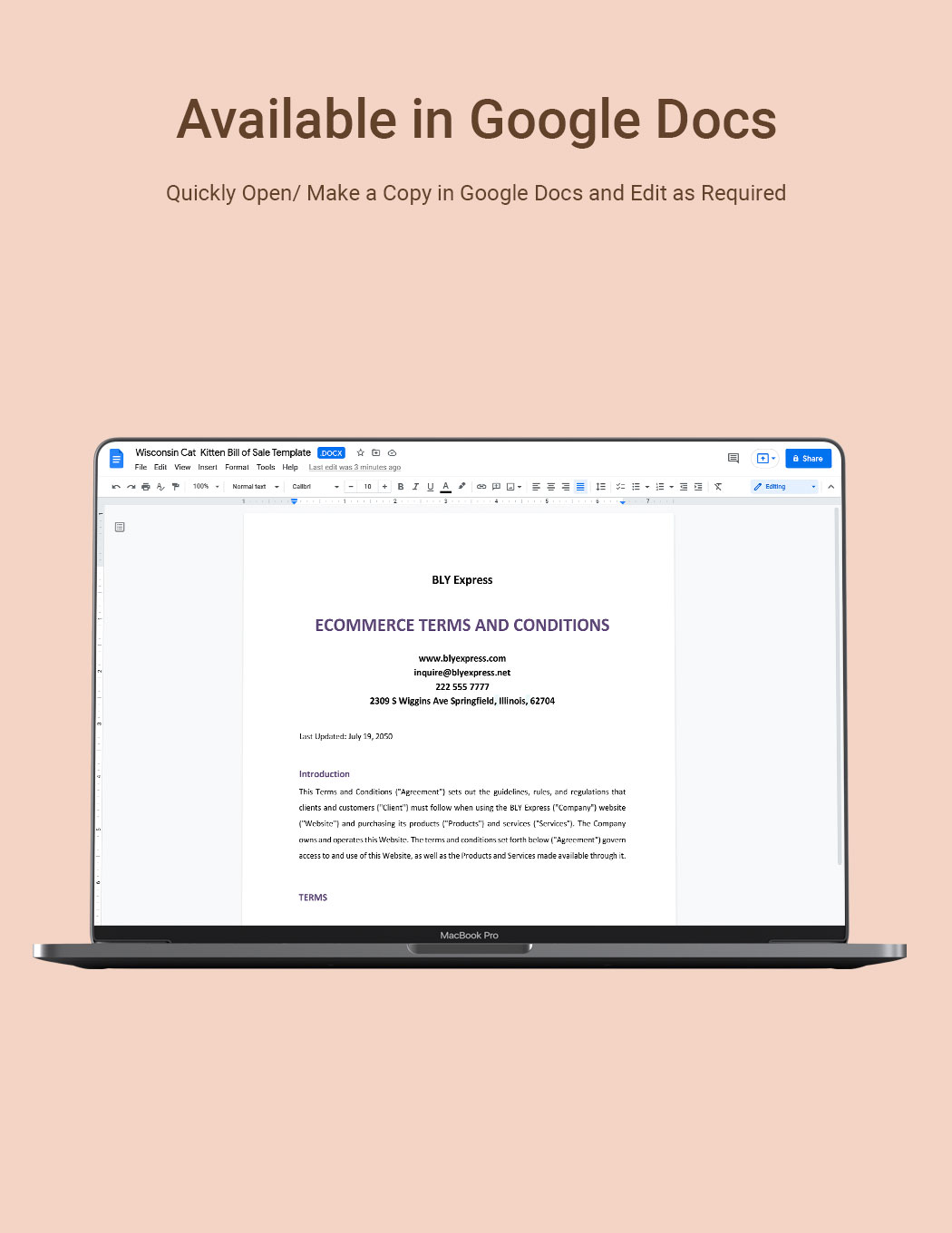 Website Terms And Conditions Template
