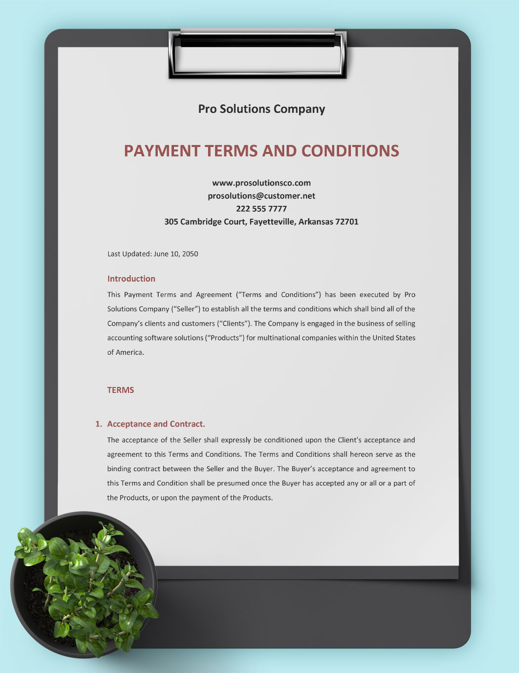 Payment Terms And Conditions Template in Word Download