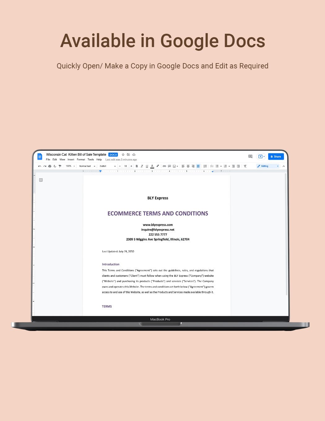 Ecommerce Terms And Conditions Template in Word Download Template net