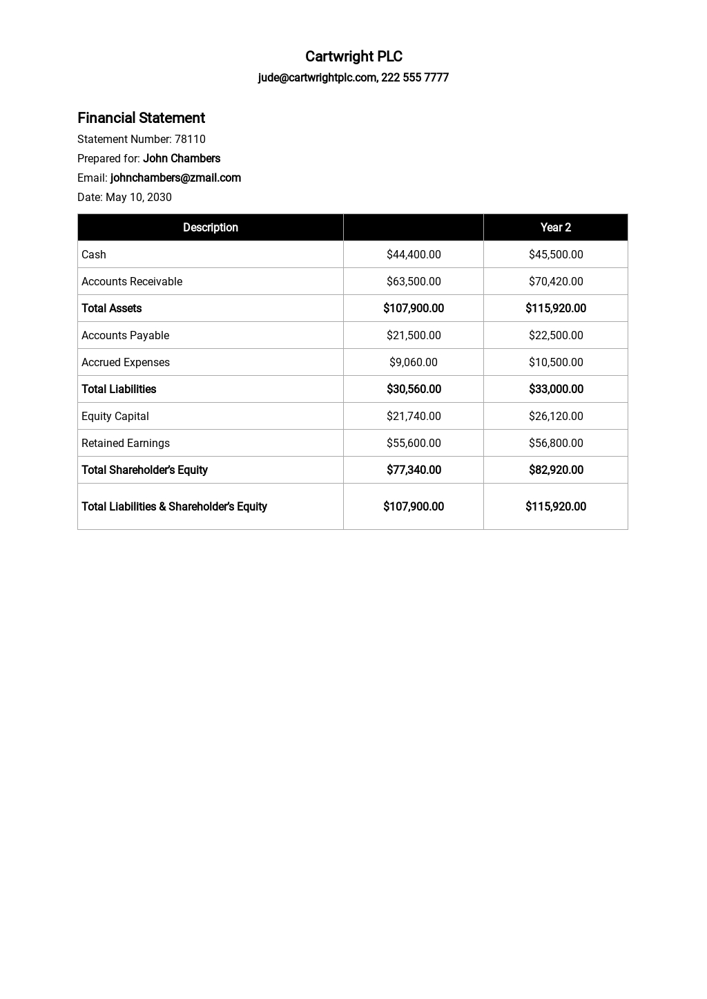 Financial Statement Template In Google Docs Google Sheets Excel Word 