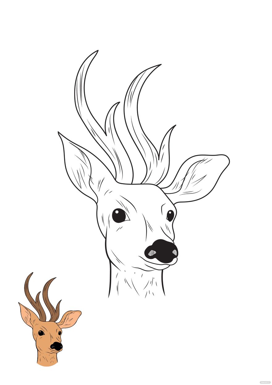 Free Deer Face Coloring Page