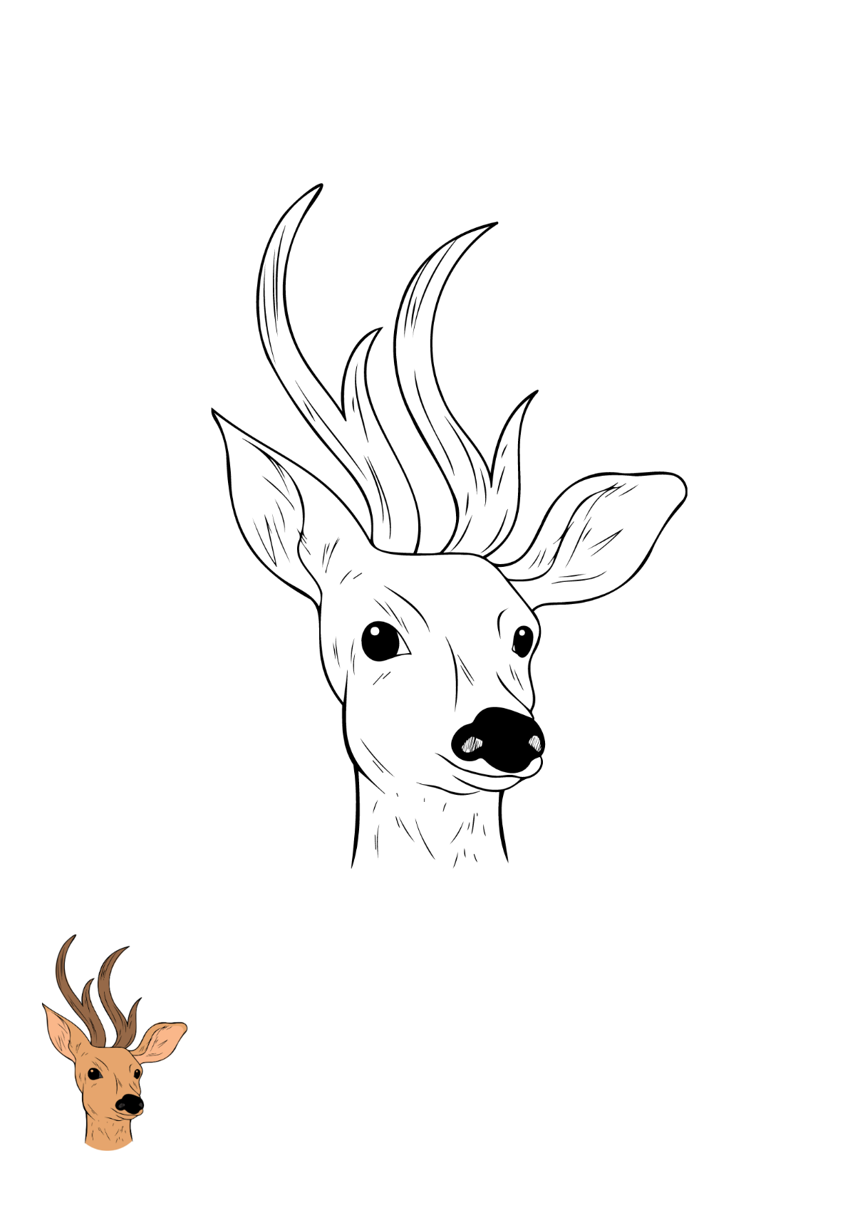 Deer Face Coloring Page Template