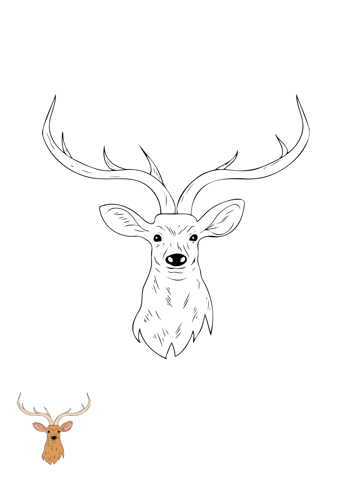 Deer Head Coloring Page Template