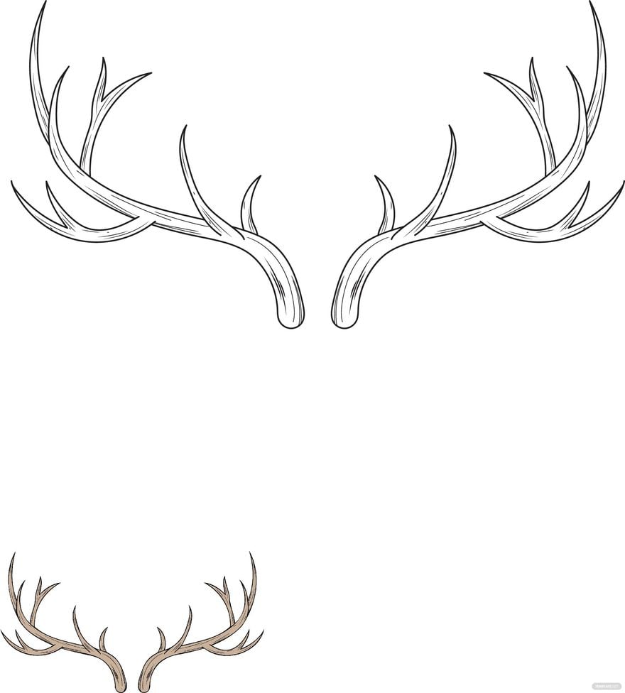 Free Deer Horn Coloring Page