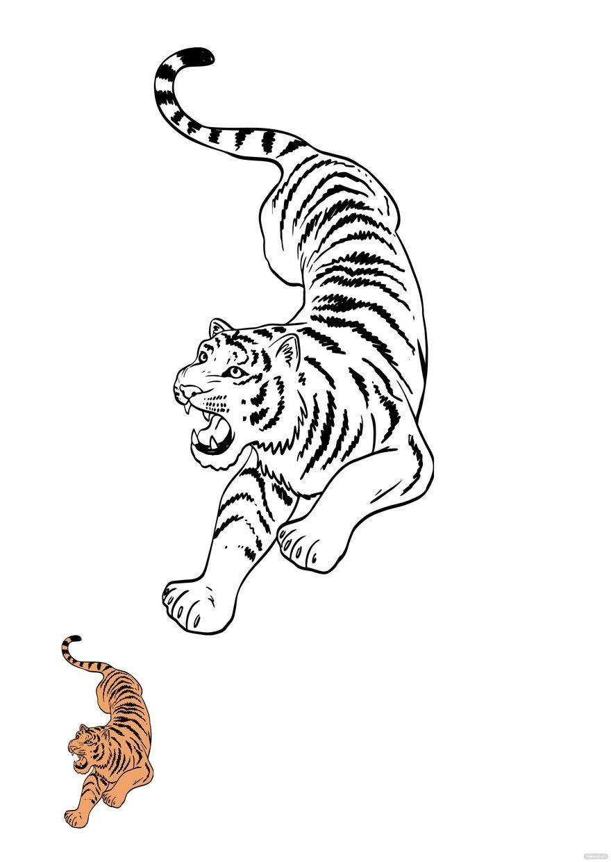 Free Transparent Tiger Coloring Page