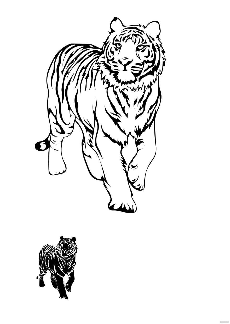 Free Black And White Tiger Coloring Page