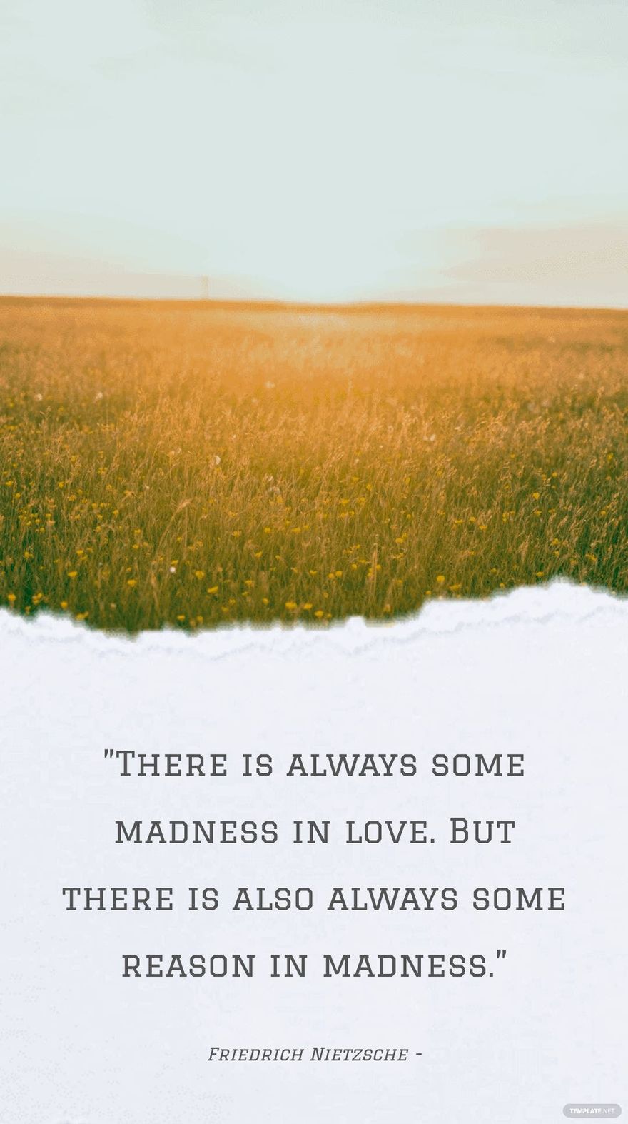 Friedrich Nietzsche - ”There is always some madness in love. But there is also always some reason in madness.”