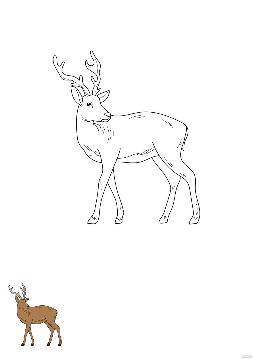 Free Buck Deer Coloring Page