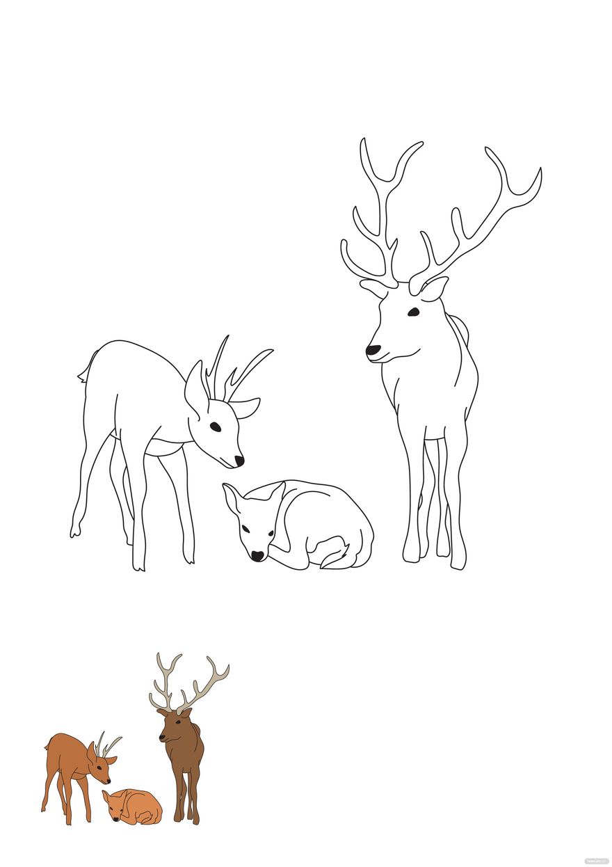 Free Deer Family Coloring Page