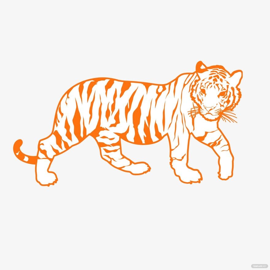 Handpainted tiger fullbody line drawing  Stock Illustration  83993404  PIXTA
