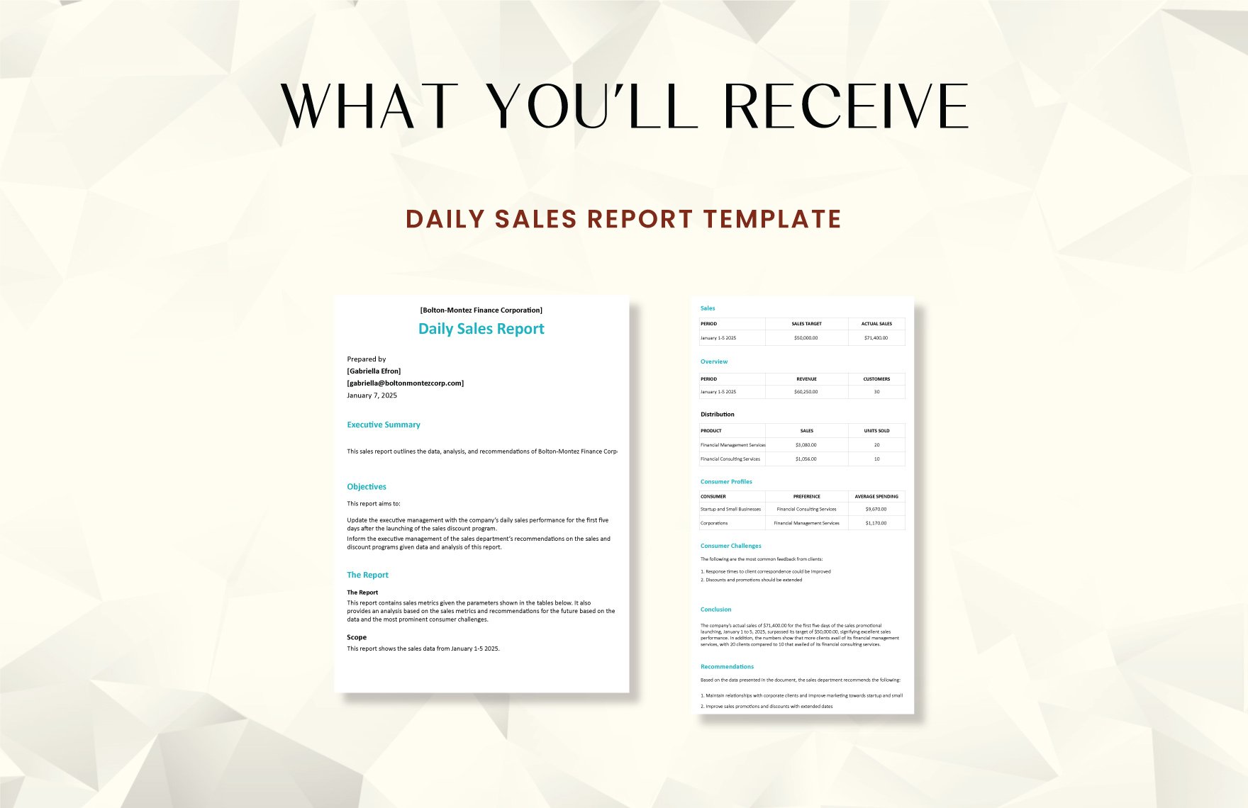 Daily Sales Report Template