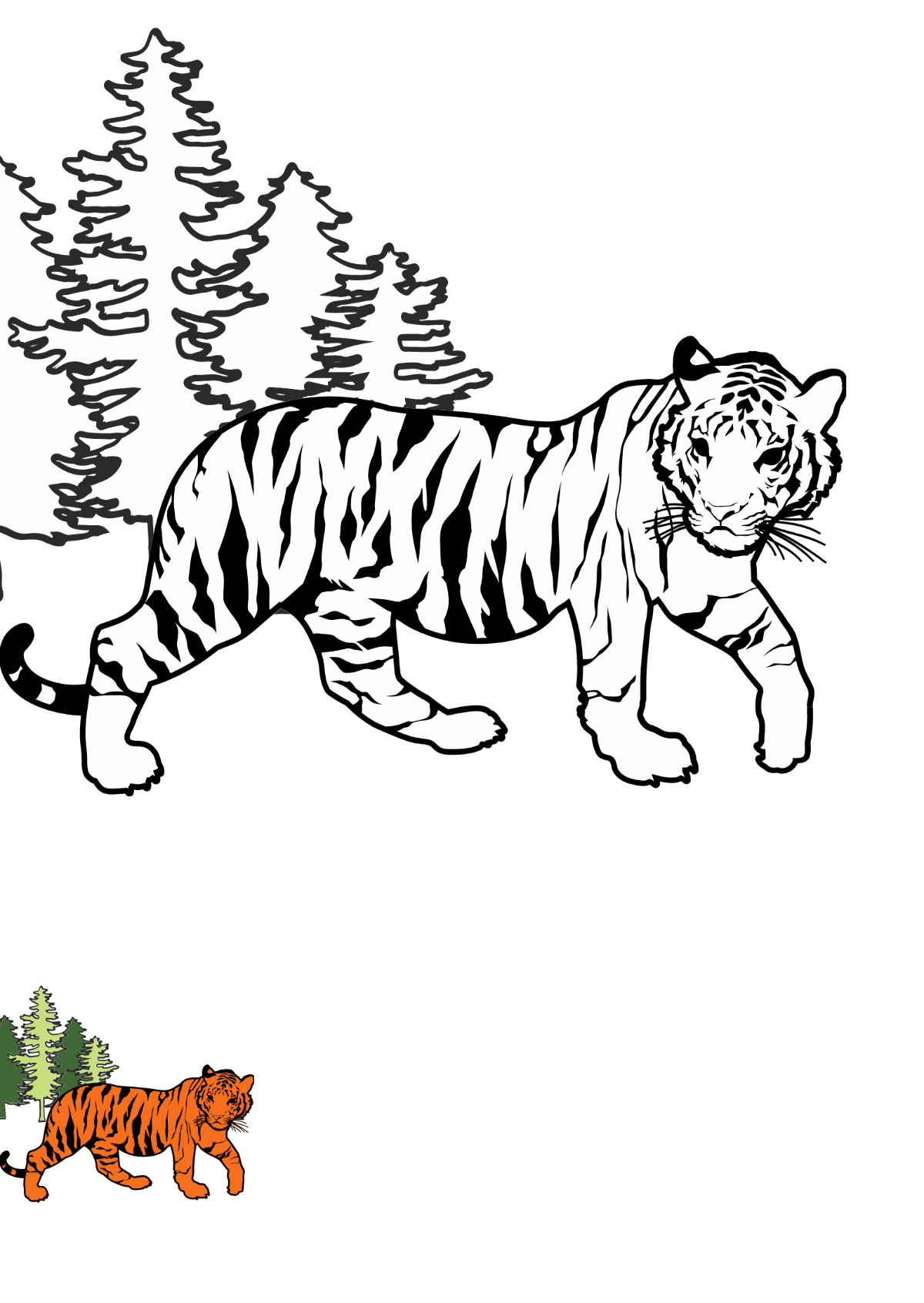 Tiger Walking Coloring Page Template