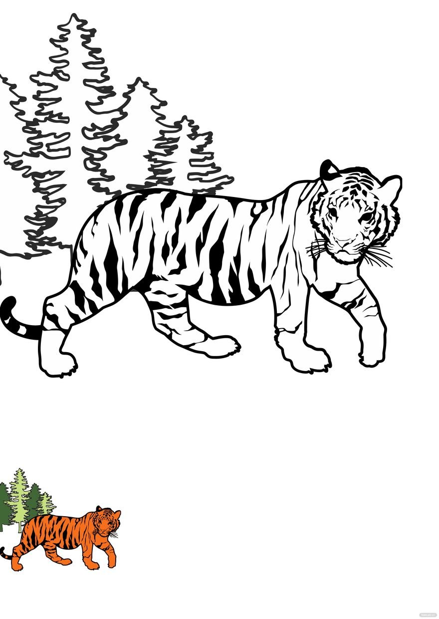 Free Tiger Walking Coloring Page