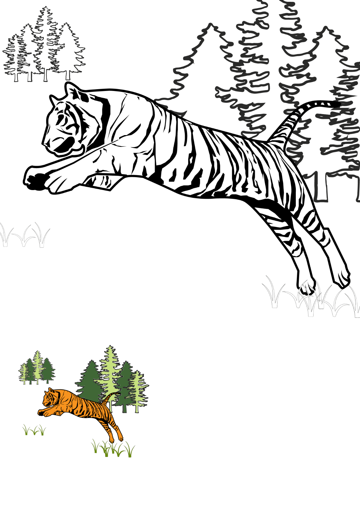 Tiger Full Body Coloring Page Template