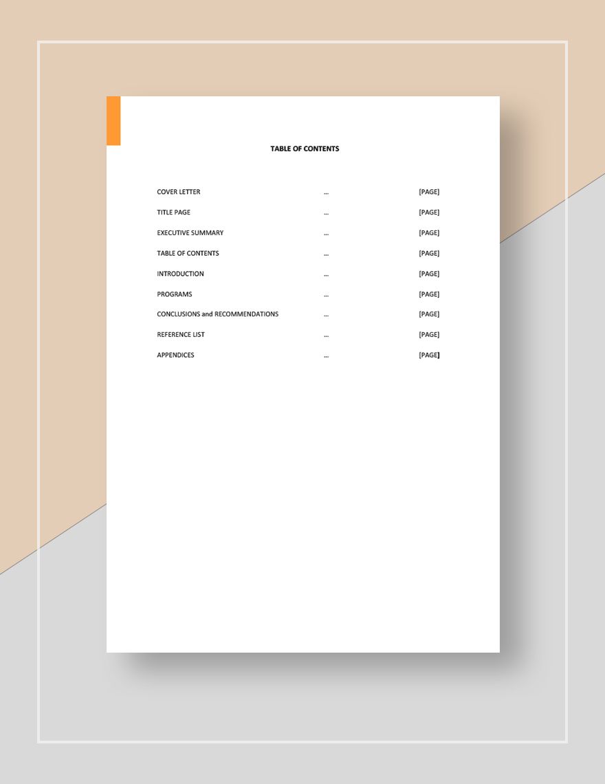 NGO Annual Report Template