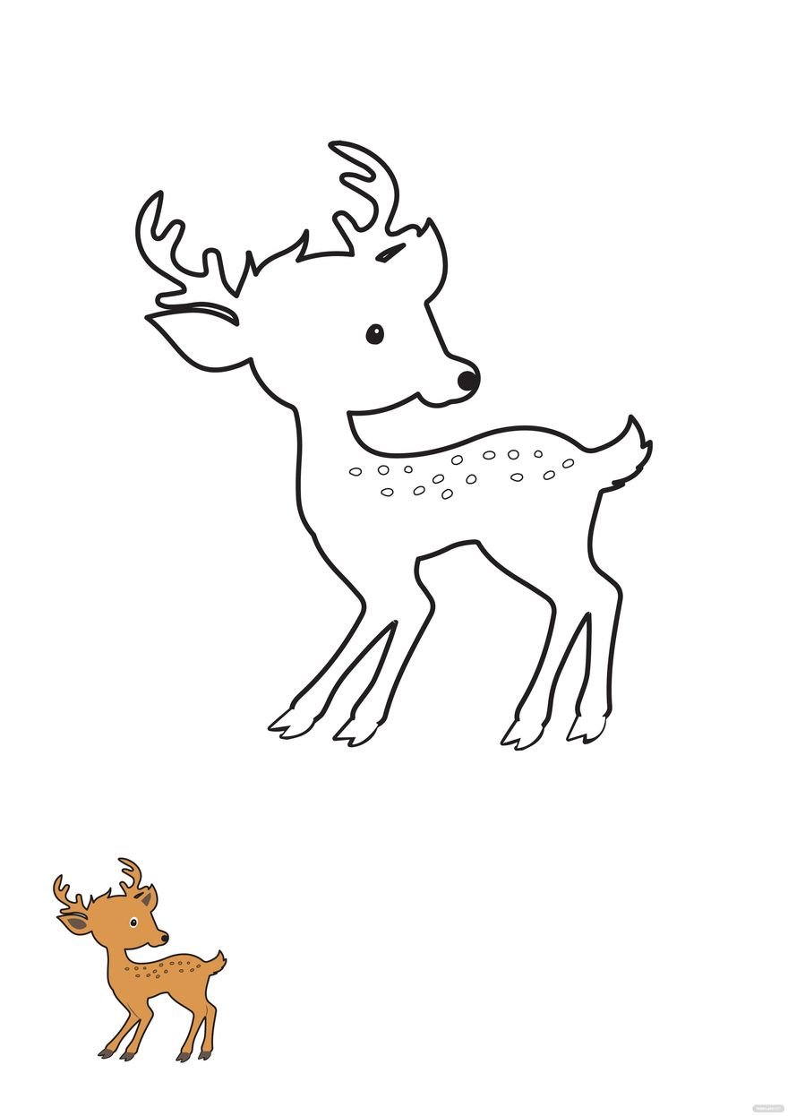 Free Baby Deer Coloring Page