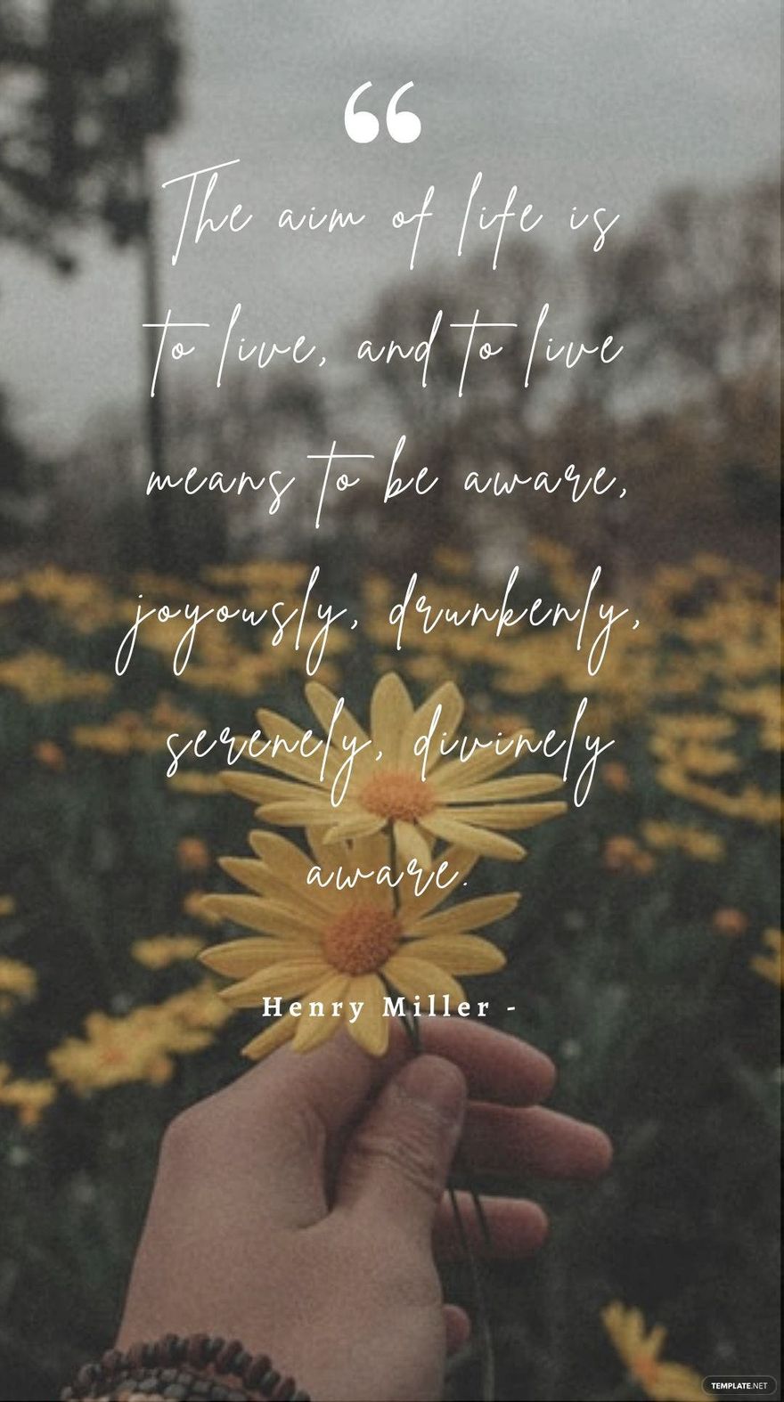 Henry Miller - The aim of life is to live, and to live means to be aware, joyously, drunkenly, serenely, divinely aware.