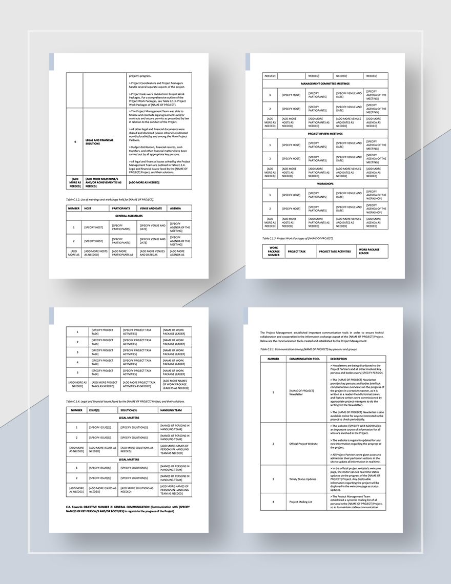 Simple Project Management Report Template