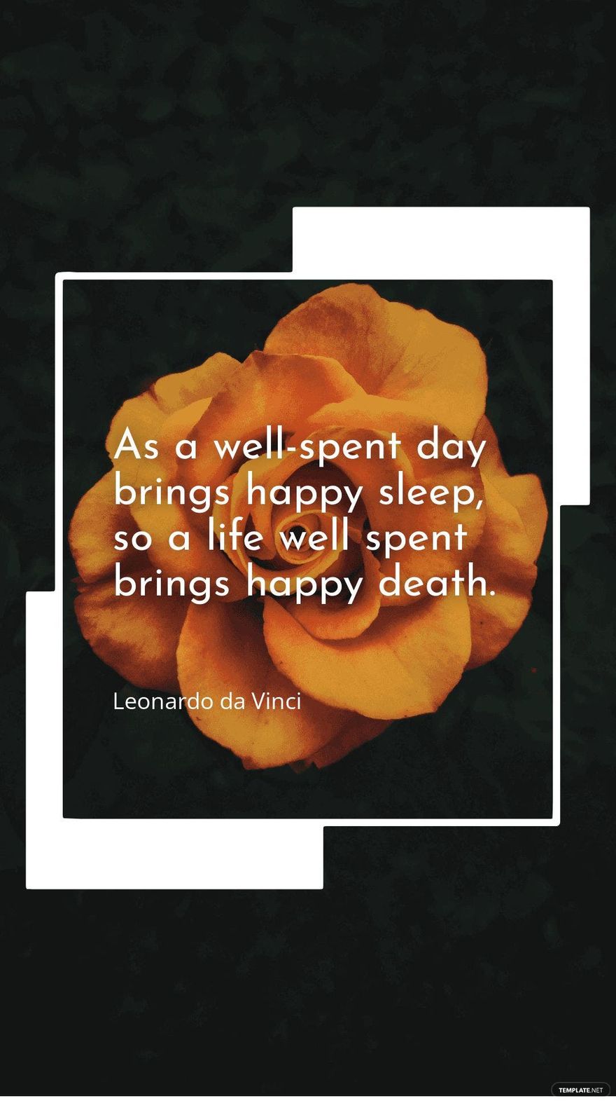 Leonardo da Vinci - "As a well-spent day brings happy sleep, so a life well spent brings happy death."