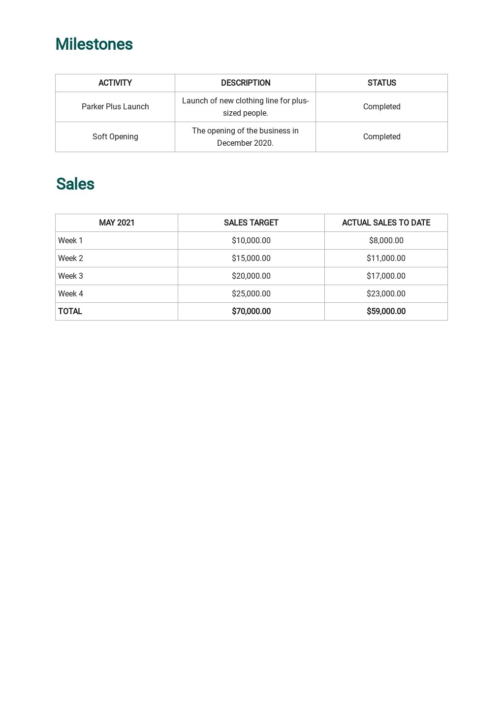 Weekly Sales Activity Report Template Google Docs Excel Word Template Net